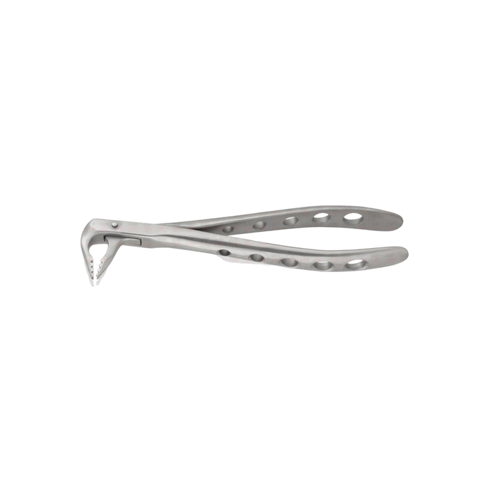 Lower Anterior Forceps - ddpeliteusa