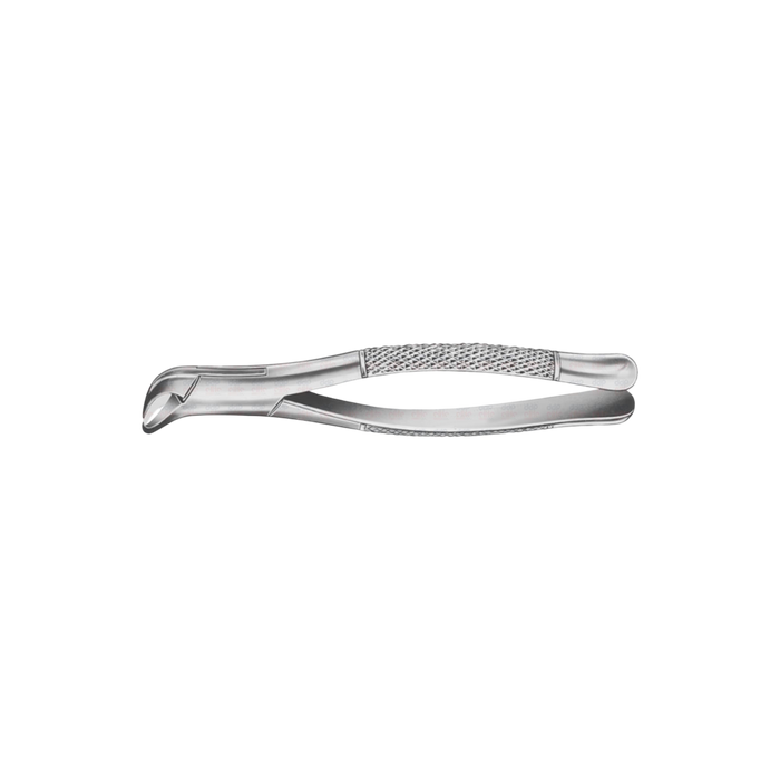 Lower Molar Cowhorn Forcep - ddpeliteusa