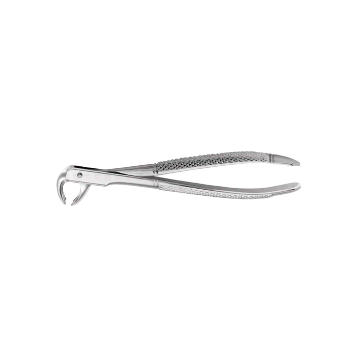 Lower Molar English Pattern Forceps #73, L/R Furcation Nib - ddpeliteusa
