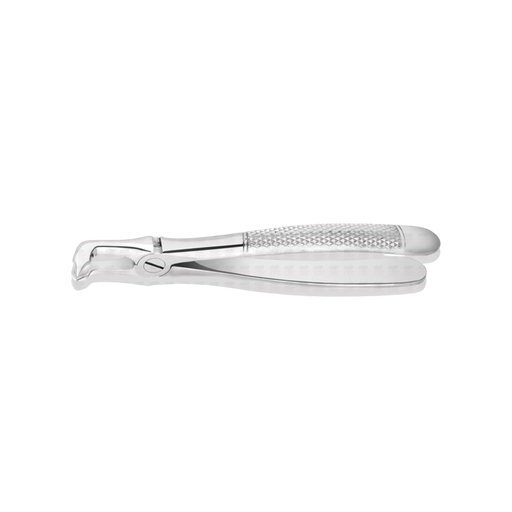 Lower Molar Modified Cowhorn Forceps #79AS, Cowhorn / Standard Beak - ddpeliteusa