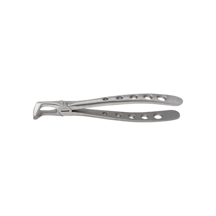 Lower Molar Forceps - ddpeliteusa