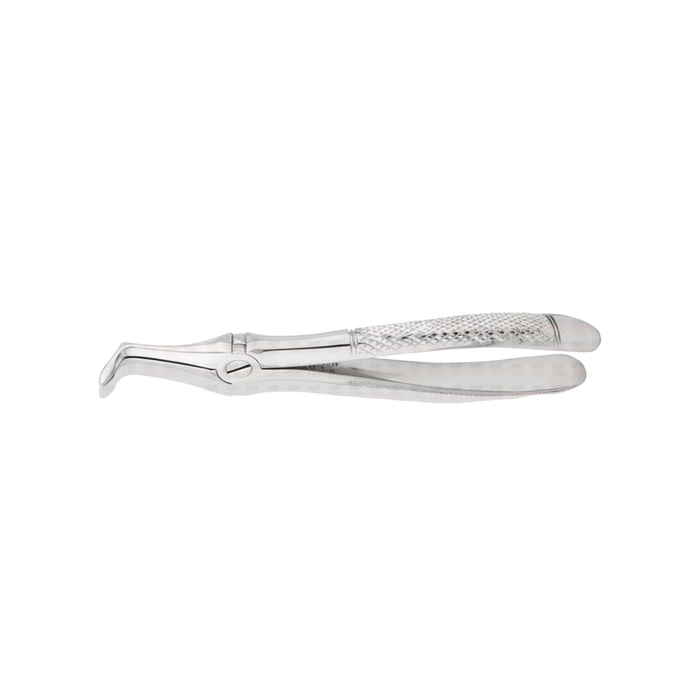 Lower Root Tip Forceps #145E, Spade Tip - ddpeliteusa