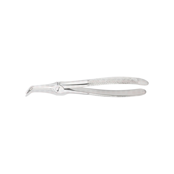 Lower Root Tip Forceps #145G, Standard Tip - ddpeliteusa