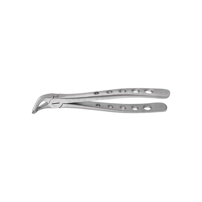 Lower Universal Forceps - ddpeliteusa