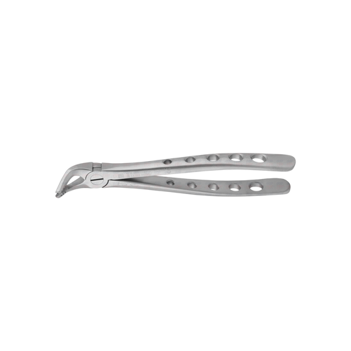 Lower Universal Forceps - ddpeliteusa
