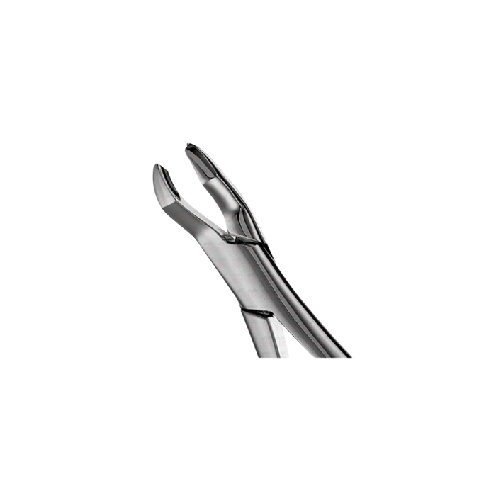 R Upper Molar Forceps