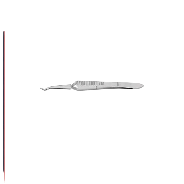 Rizzuti Superior Rectus Forceps