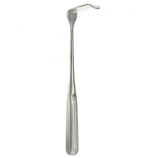 Sauerbruch Retractor 3/4 Wide Deep