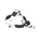 AED Surgical LED Head Light