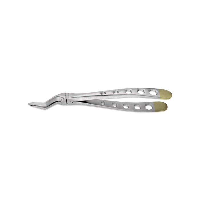 Spade Upper Root Forceps #1251ED, Serrated, Xcision, Diamond Coated - ddpeliteusa