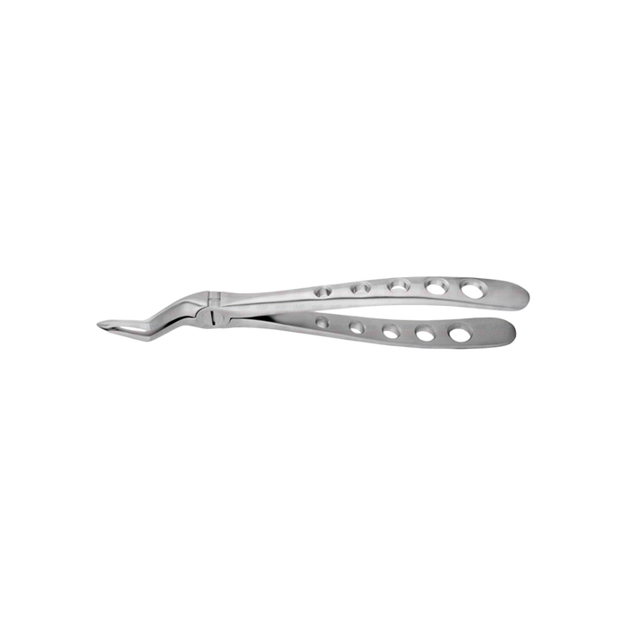 Spade Upper Root Forceps #1251E, Serrated, Xcision - ddpeliteusa