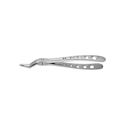 Spade Upper Root Forceps #1251E, Serrated, Xcision - ddpeliteusa