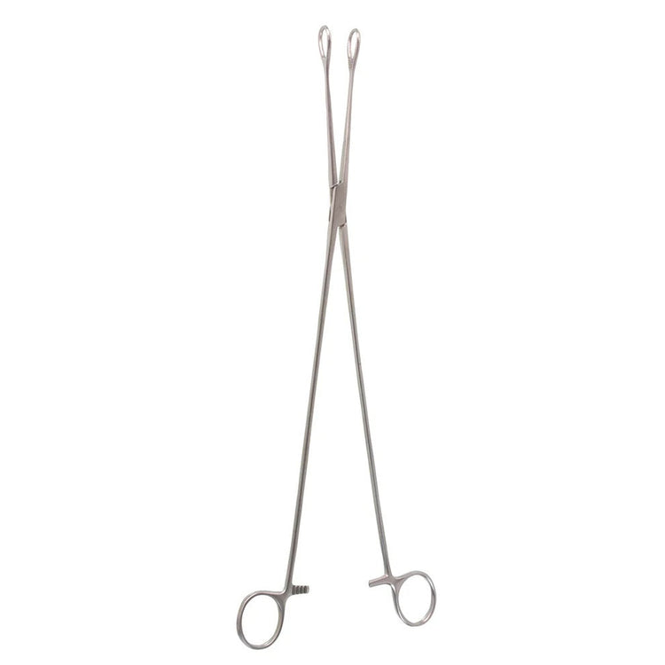 18" Straight Forester Sponge Forceps