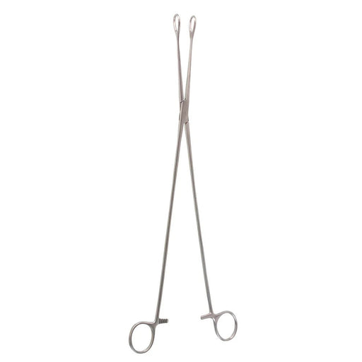 18" Straight Forester Sponge Forceps