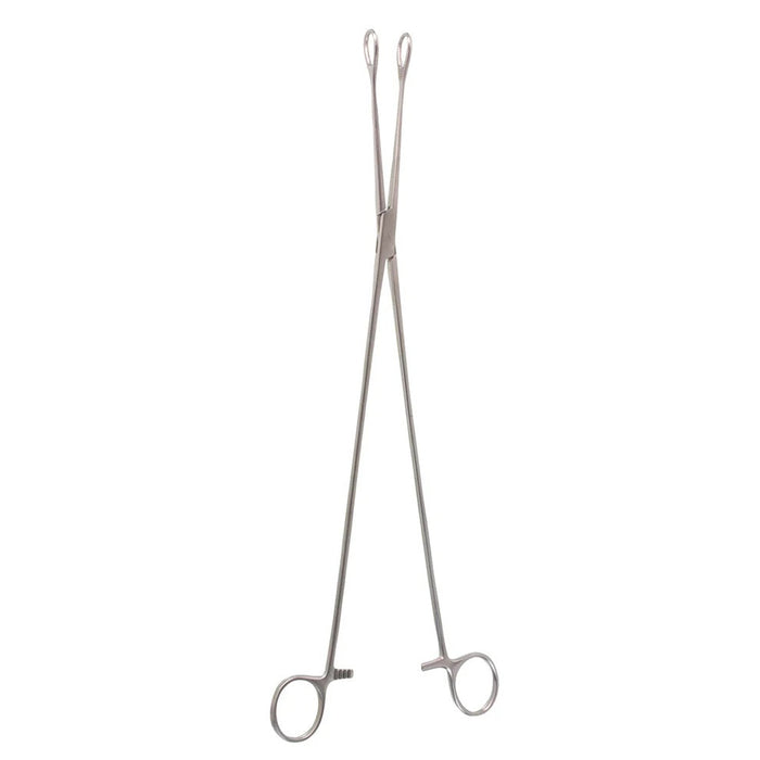 18" Straight Forester Sponge Forceps