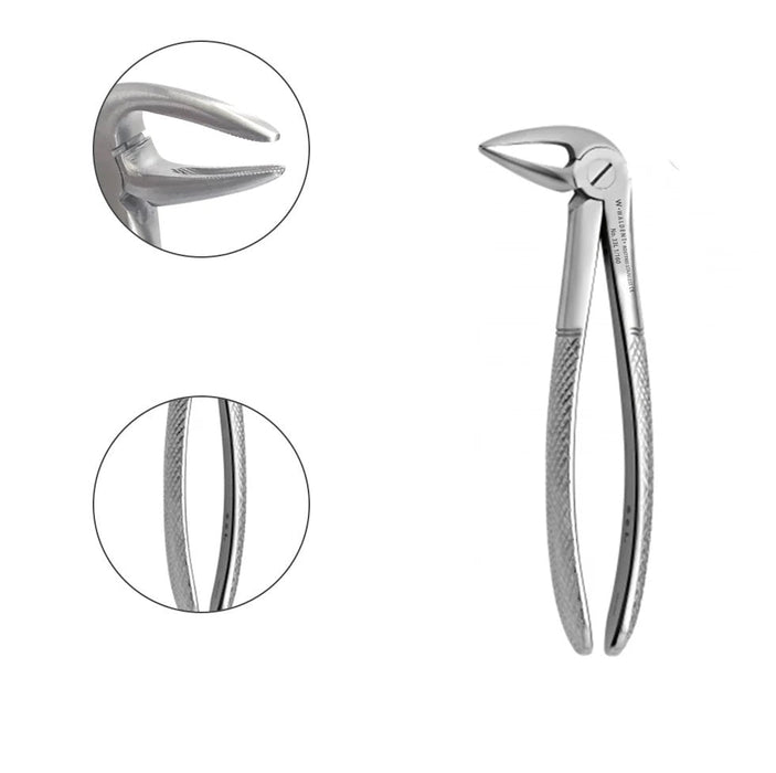 Lower Root Extracting Forceps