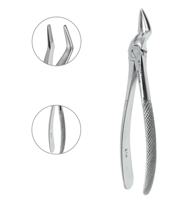 Upper Root Extracting Forceps
