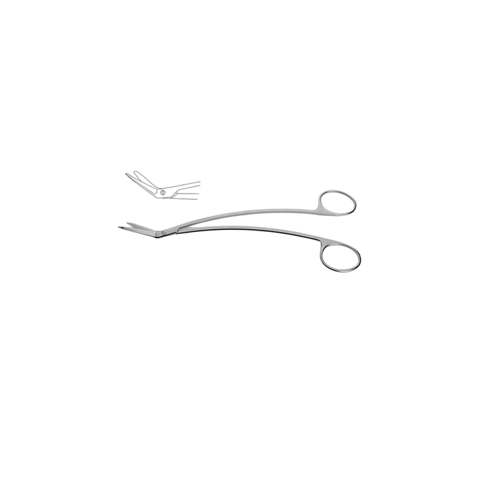 Taylor Dural Scissors - ddpeliteusa