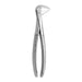 Lower Anterior and Oral Molar Forceps