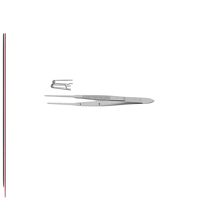 Thorpe Conjunctival Fixation Forcep