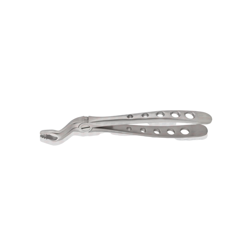 Universal Upper Molar Forceps - ddpeliteusa