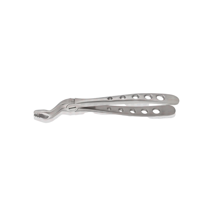 Universal Upper Molar Forceps - ddpeliteusa