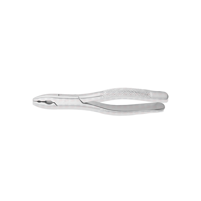 Upper Anterior Forceps #1AS, "AB" Pattern - ddpeliteusa