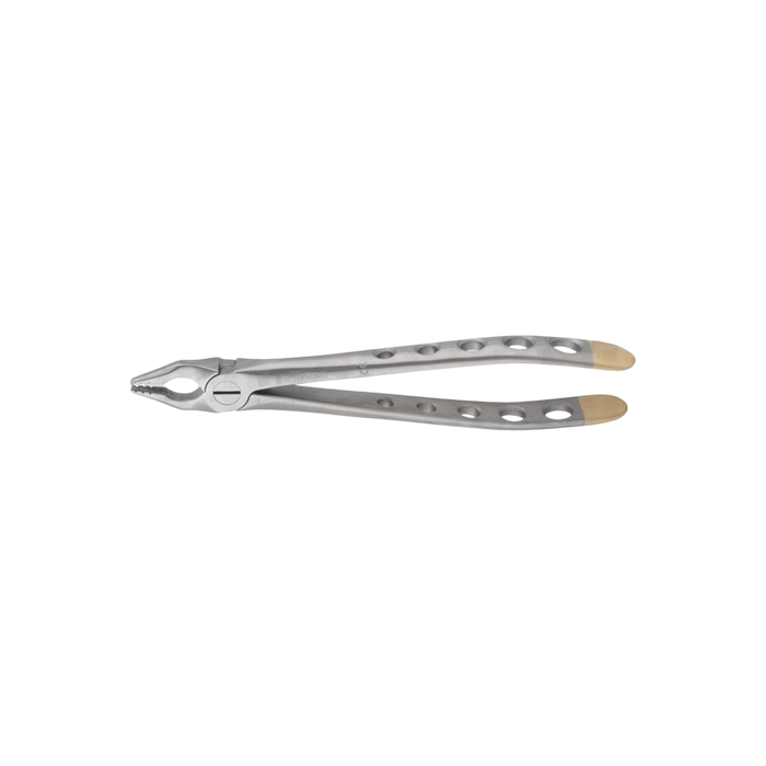 Upper Anterior Forceps , Diamond Tips - ddpeliteusa