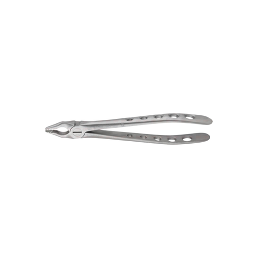 Upper Anterior Forceps - ddpeliteusa