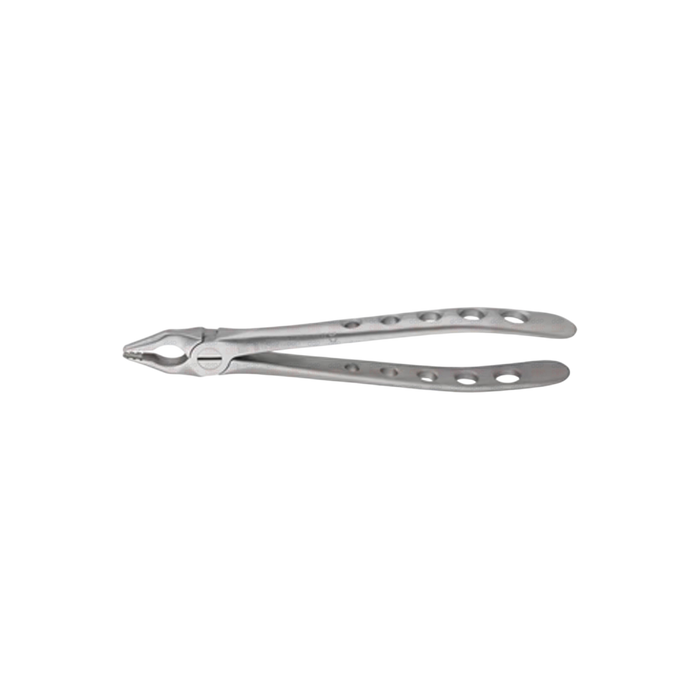Upper Anterior Forceps - ddpeliteusa