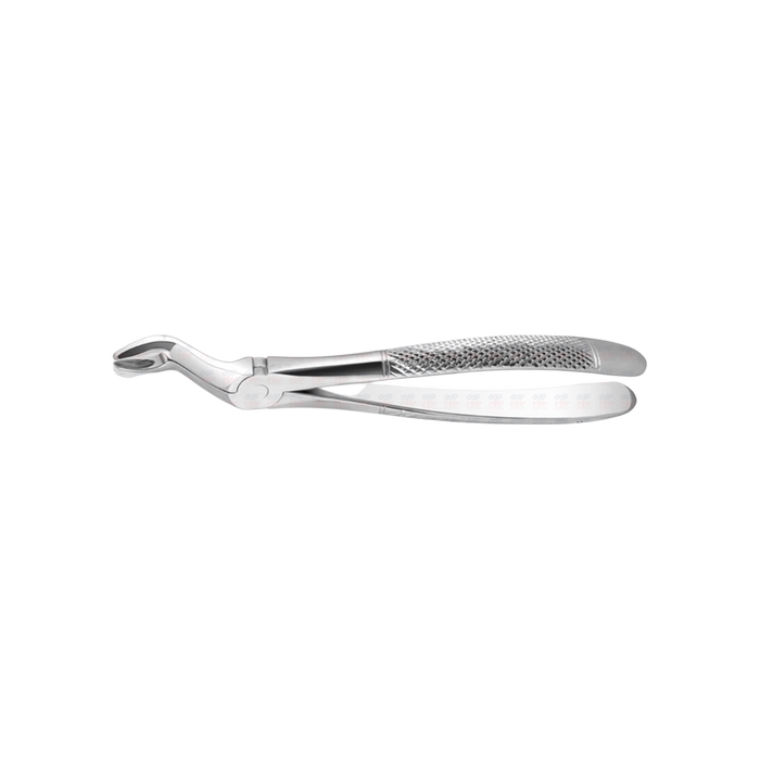 Upper Molar Apical Retention Forceps #1167, Bayonet w/ Subgingival Beak - ddpeliteusa
