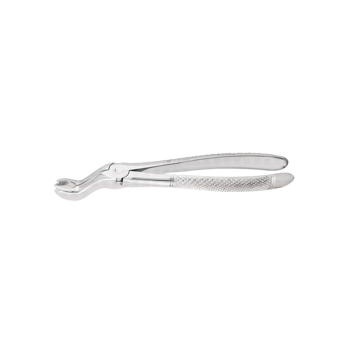 Upper Molar Forceps #1267R, Bayonet w/ Small Right Cowhorn - ddpeliteusa
