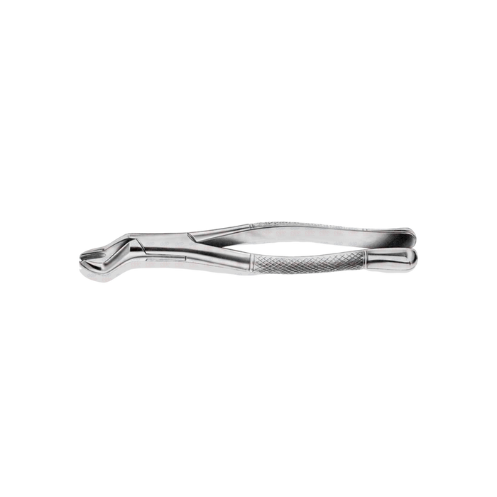 Upper Molar Forceps #53R, Bayonet w/ Right Furcation Nib - ddpeliteusa