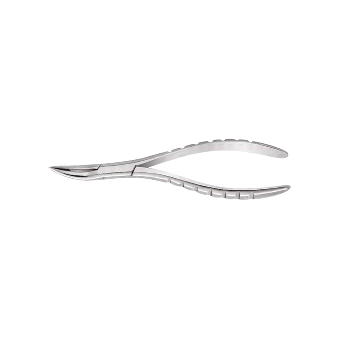 Upper Root Tip Forceps #300, Smooth Handle w/ Standard Tip - ddpeliteusa