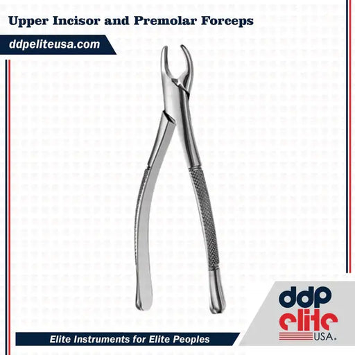 Upper Incisor and Premolar Forceps