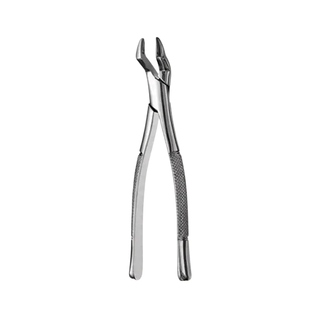 Upper Molar Forcep