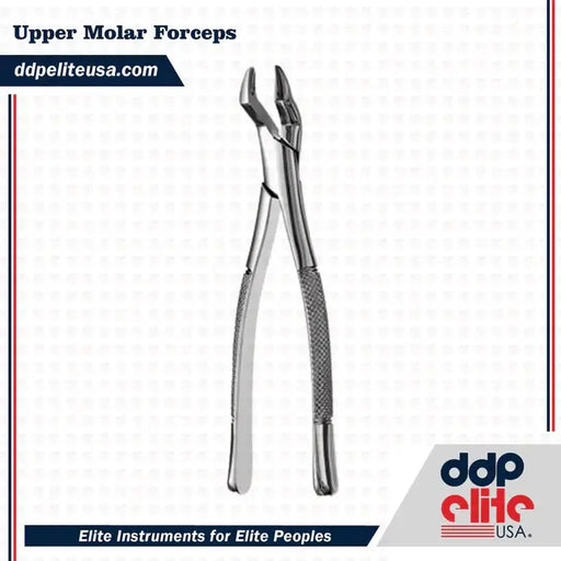 Upper Molar Forceps