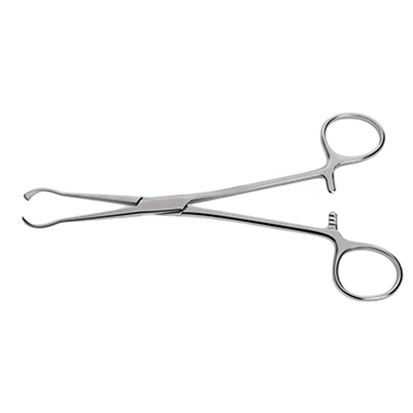 UROLOGY (UROLOGY & RECTAL)