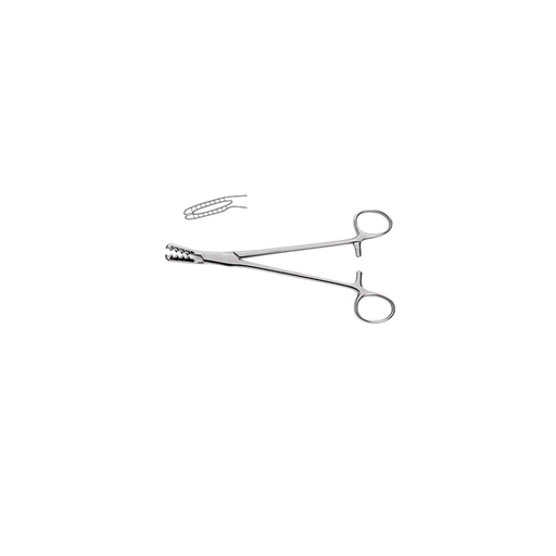 Walton Cartilage Clamp - ddpeliteusa