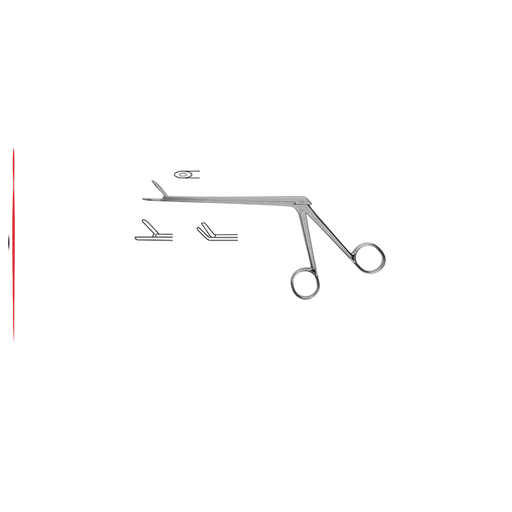 Wilde Ivd Rongeur - ddpeliteusa