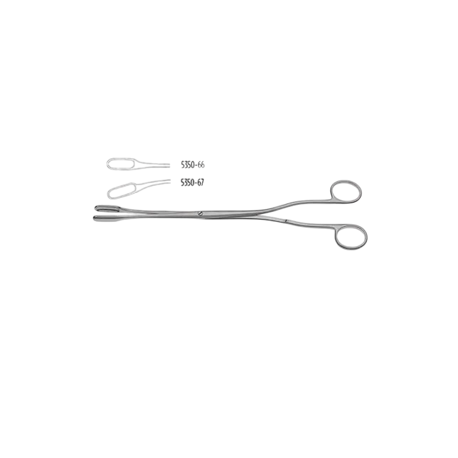 Winter Placenta Forcep