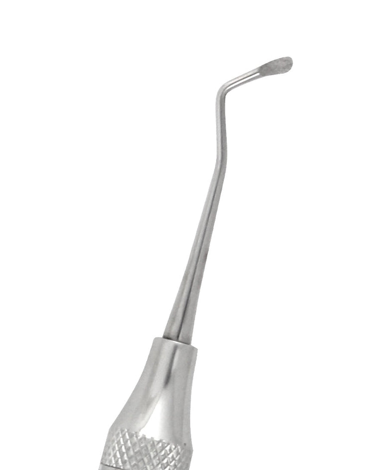 Dental Excavator No. 19W