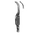 Arruga Capsular Forceps 10cm, Pattern 2
