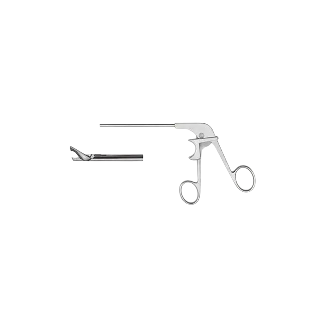 ddp elite usa oval punch