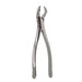 Oral Molar Forceps ? Upper Molar