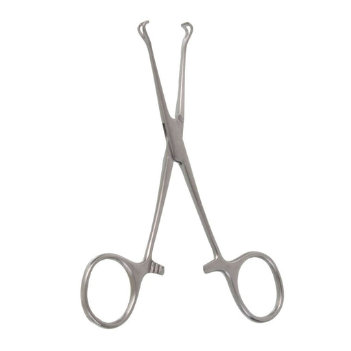5 1/4" Petite Point Babcock Forceps, 6mm Jaw