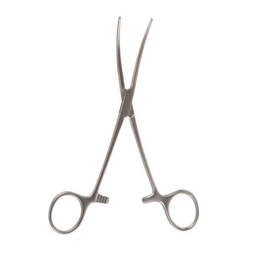 Bainbridge Artery Forceps, Standard