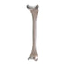 7 1/2" Goelet Retractor double end 1 1/4" And 1 1/2" ends