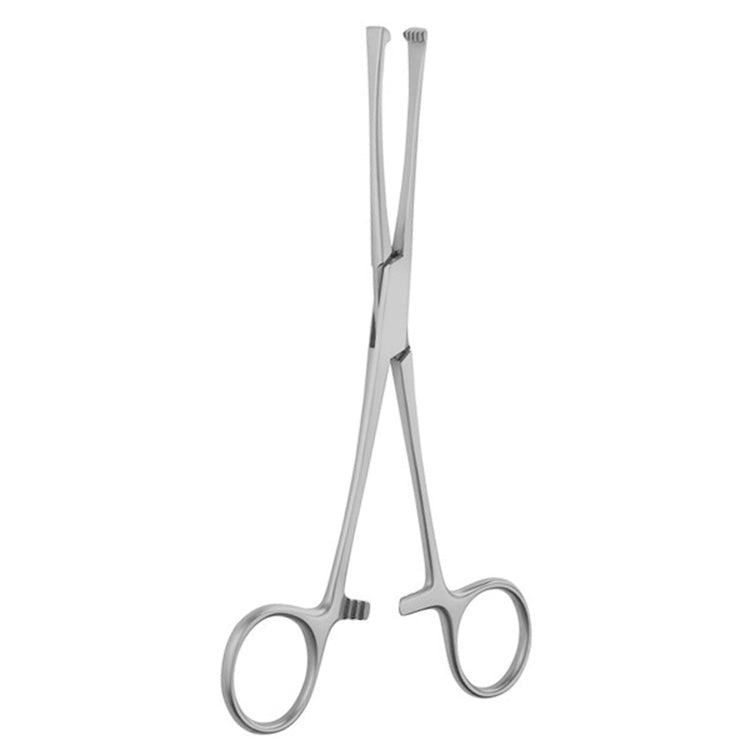 6 1/4" Lockwood Allis Forceps with 4.5 Teeth