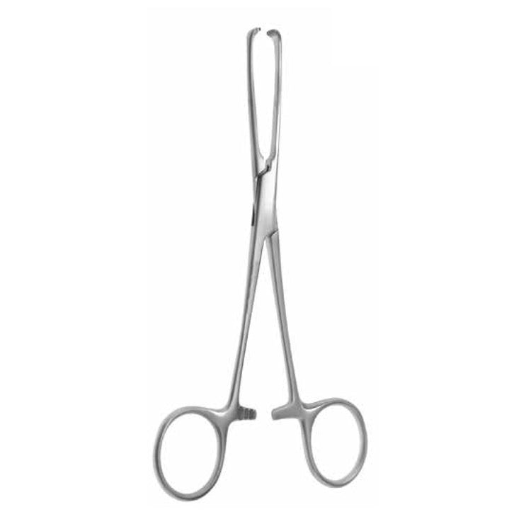 Six-Allis Forceps, heavy five-and-twenty-five